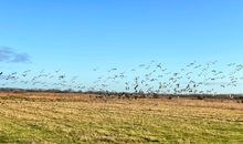 Naturschutzgebiet neben dem Teichhof