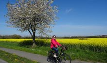 Radtouren im Frühling