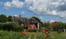 Hafenpromenade mit Ausblick im Ostseeresort Olpenitz