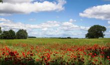 Achterland der Insel Usedom