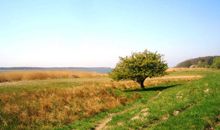 Achterland der Insel Usedom