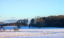 Blühende Rapsfelder und blauer Himmel im April und Mai