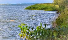 Umgebung mit Blick auf den Naturstrand