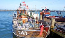 Fischkutter im Hafen von Stahlbrode