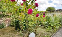 Sonniger Innenhof mit möblierter Terrasse und Gartenbereich