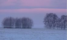 Ferienwohnungen Wiesenblick