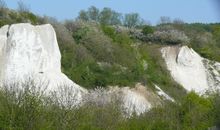 Liebevoll geführte Pension in Neddesitz auf Rügen