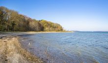 Strand am Höfthus mit Blick auf Vilm