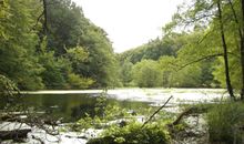 Nationalpark Jasmund.