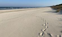 wunderbarer Strand von Usedom