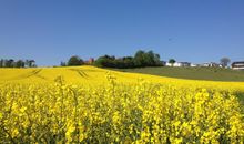 Das Ostseebad Göhren entdecken!