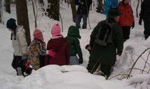 Winter-Wald-Wanderung in den Winterferien