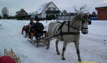 Schlittenfahrten in den Winterferien an der Ostsee