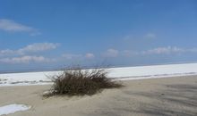 Strand im Winter