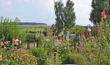 Ferienhaus mit Reetdach und Seeblick