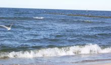 Ostsee in nur 300m zu Fuß zu erreichen, Strandabgang in Fortsetzung der Straße