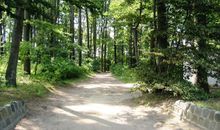 Küstenwald mit idyllischen Wegen