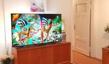 Großer 55'' OLED-Fernseher mit Ambilight LED-Hintergrundbeleuchtung