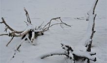 Landschaft im Winter