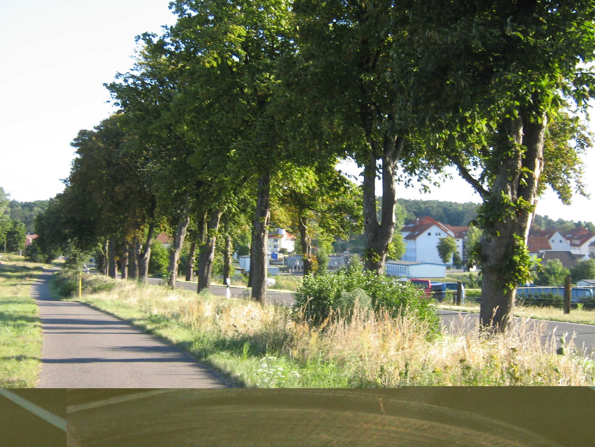 Blick zur Seebrücke