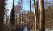 Waldweg