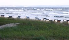 Strandkörbe am Strand