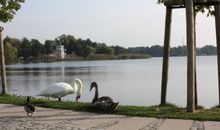 strandnahe FeWo Prorer Wiek 13 im Ostseebad Binz, (ID 113)