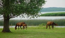 Yachthafen Schausende