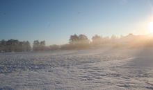 Nebel über den Wiesen im Winter