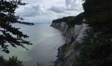 Nur wenige Meter entfernt beginnt der Jasmunder Nationalpark