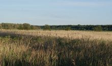 Ein herrliches Naturschutzgebiet bei Nienhagen