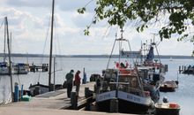 Fischerboote im Hafen von Ostseebad Rerik