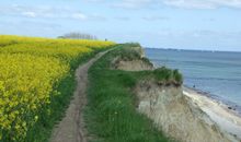 Wanderweg oberhalb der Steilküste