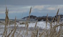 Strand im Winter