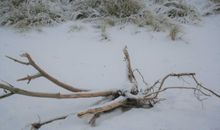 Strand im Winter