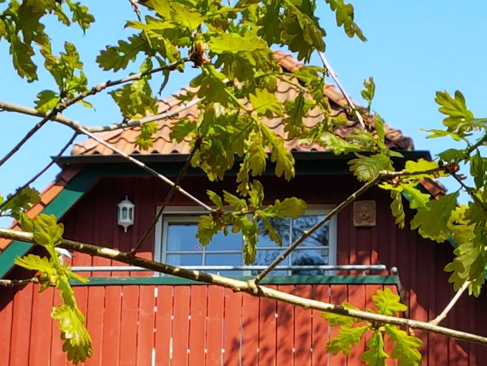 Dachgeschoßwohnung mit Blick in den Darßwald