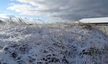 Landschaft im Winter