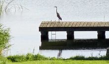 Ausblick Achterwasser