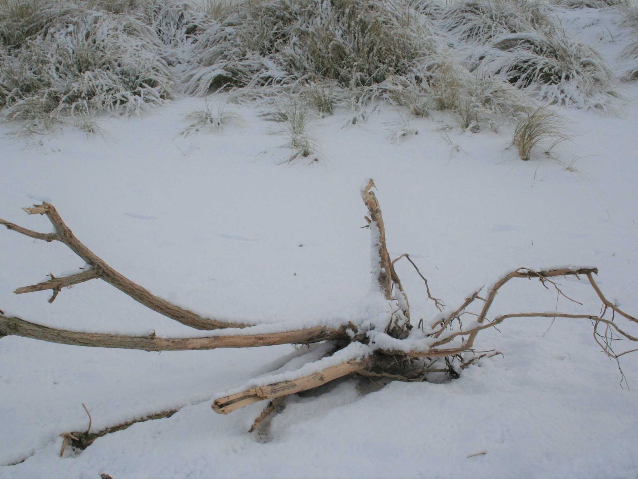 Baaber Strand