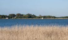 Saaler Bodden