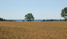 Blick über das Feld