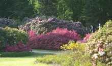 Ostseeidyll - Komfort Fewo nahe dem Rhododendronpark