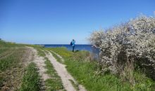 Wanderweg oberhalb der Steilküste - von hier hat man einen wunderbaren Blick auf die Ostsee