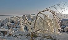 Winter auf Rügen