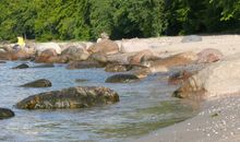 Der Fischerstrand in Binz