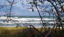 Prora Strand im Herbst (15 km entfernt)