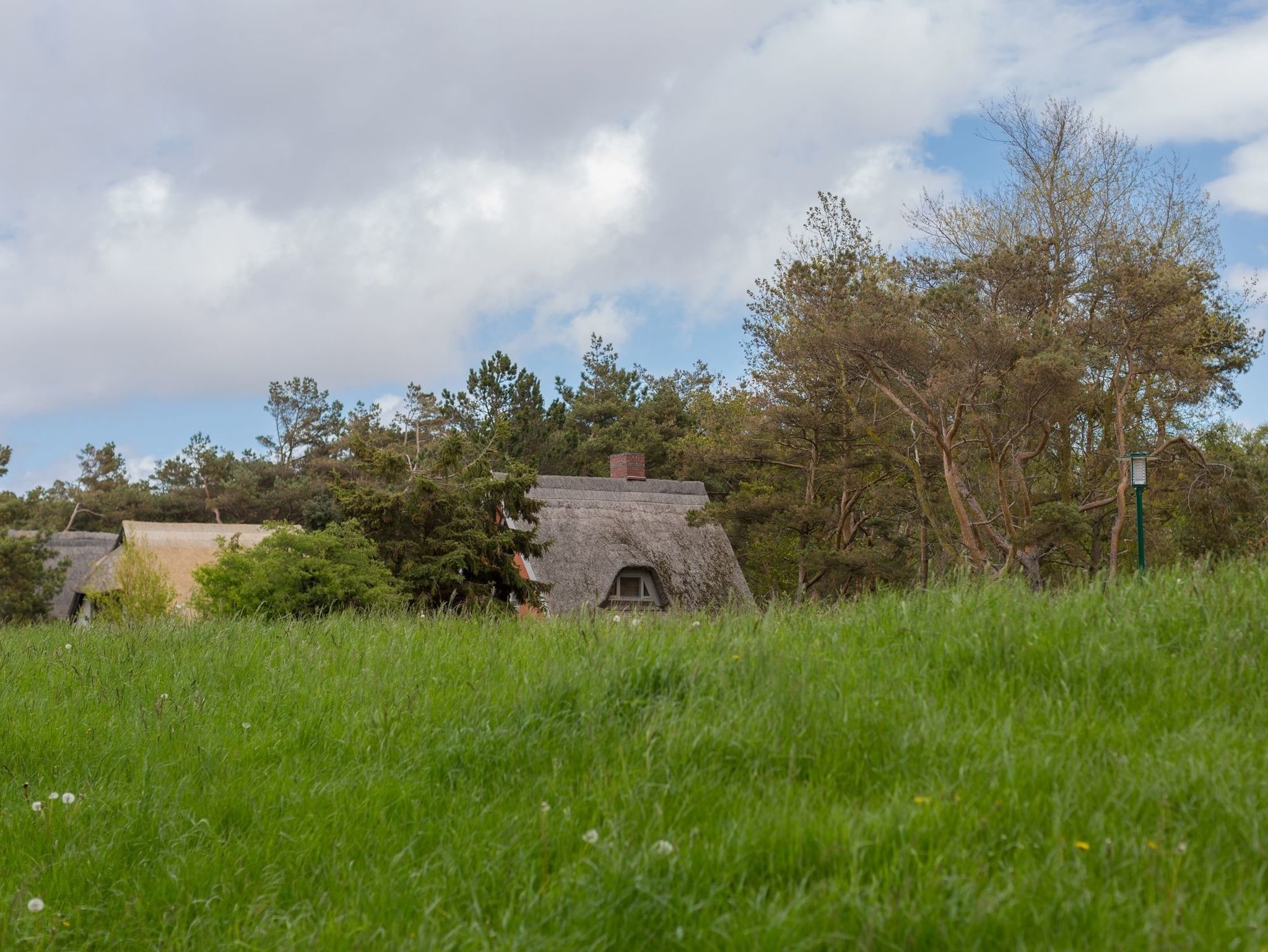 Mariandl am Meer / WaldStüberl