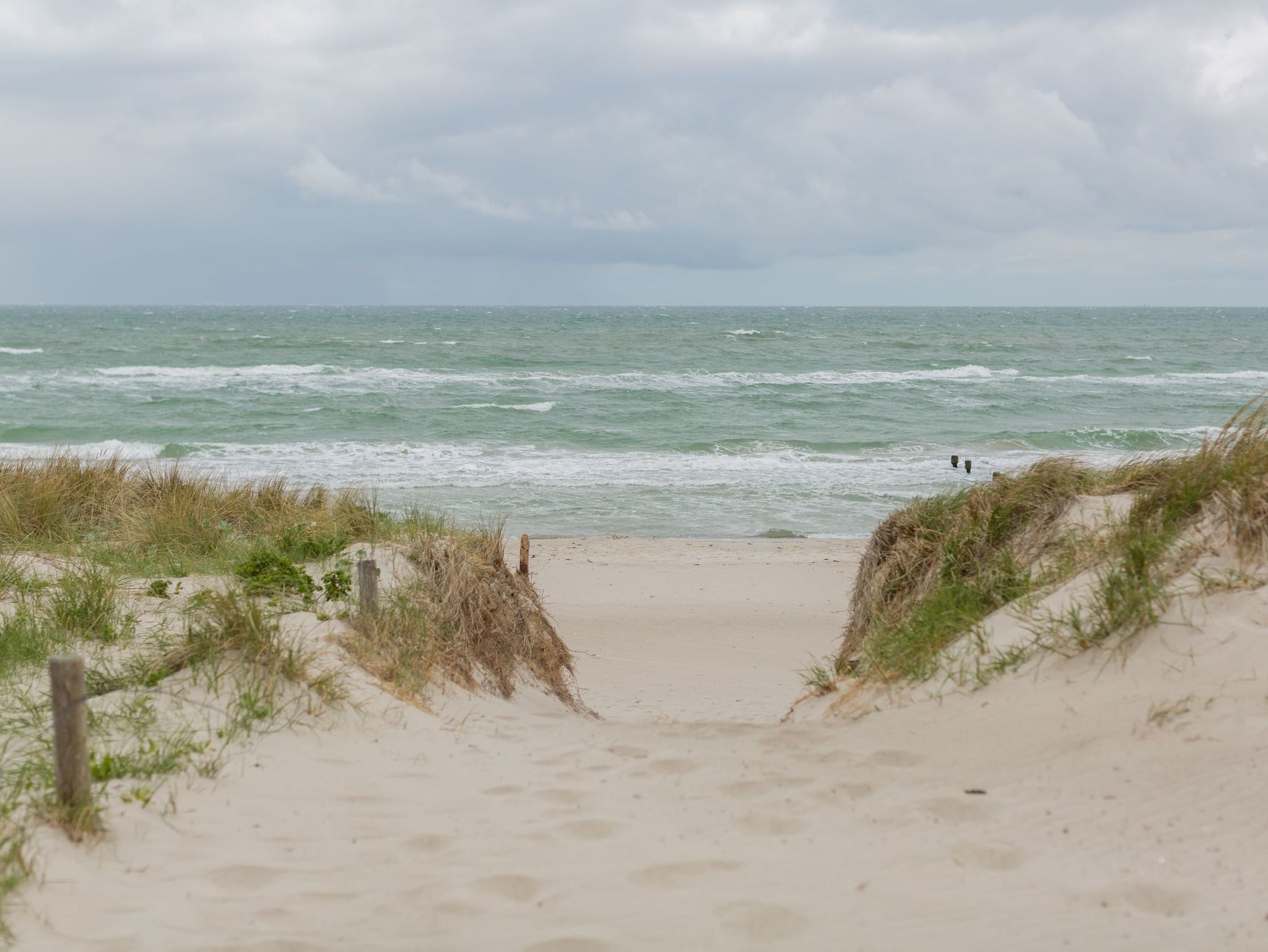 Mariandl am Meer / WaldStüberl