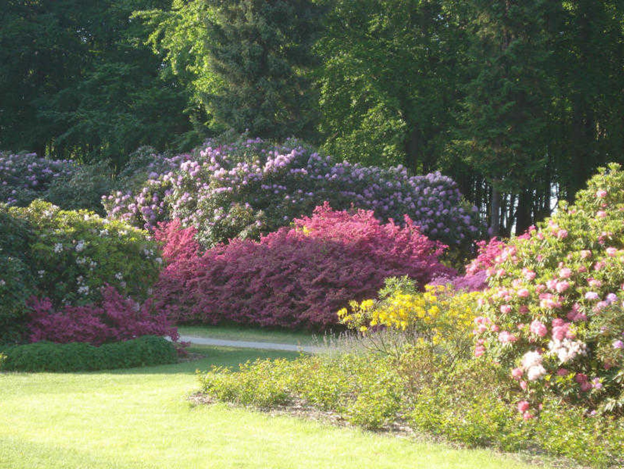 Blick vom Garten auf die Villa Andrea