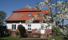 Große Gartenterrasse direkt am Haus